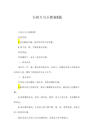 小班大与小教案5篇.docx