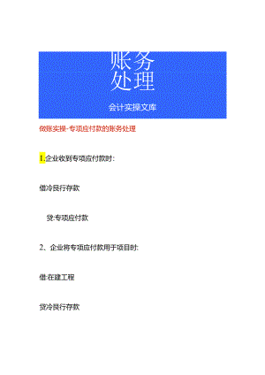 做账实操-专项应付款的账务处理.docx