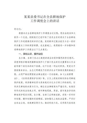 某某县委书记在全县耕地保护工作调度会上的讲话.docx