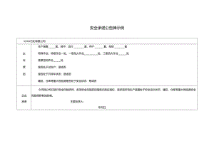 安全承诺公告牌示例.docx