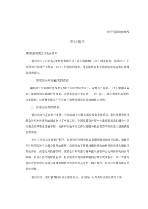 0-2-3带其他事项段的无保留意见审计报告（持续经营）.docx