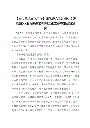 【宣传思想文化工作】深化理论武装树立底线思维XX县推动宣传思想文化工作守正创新发展.docx