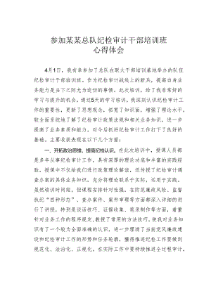 参加某某总队纪检审计干部培训班心得体会.docx
