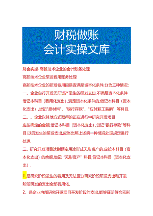 财会实操-高新技术企业的会计账务处理.docx