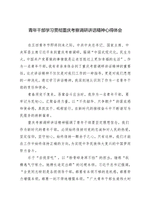 2024年青年干部学习贯彻重庆考察调研讲话精神心得体会.docx