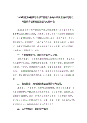 (六篇)2024年青海6名领导干部严重违反中央八项规定精神问题以案促改专项教育整治活动心得体会精选.docx