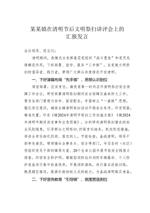 某某镇在清明节后文明祭扫讲评会上的汇报发言.docx