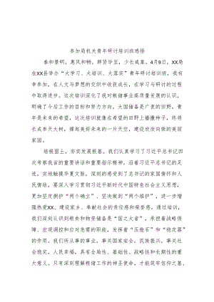 参加局机关青年研讨培训班感悟.docx