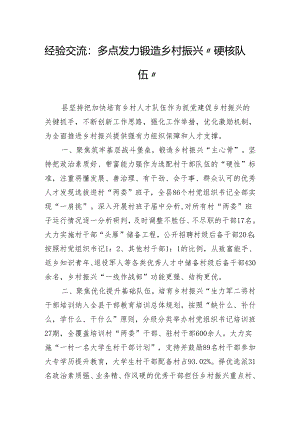 经验交流：多点发力锻造乡村振兴“硬核队伍”.docx