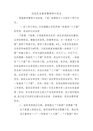 纪检队伍教育整顿研讨发言.docx