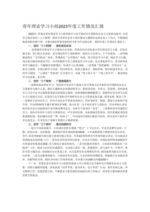 青年理论学习小组2023年度工作情况汇报.docx