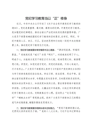 研讨发言材料：党纪学习教育当以“正”修身.docx