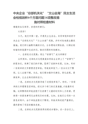 中央企业“总部机关化”“文山会海”民主生活会检视剖析6个方面问题16项整改措施对照检查材料.docx