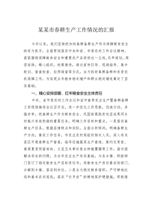 某某市春耕生产工作情况的汇报.docx