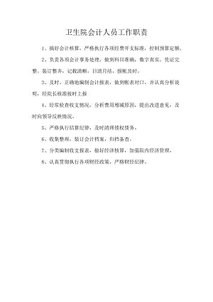 卫生院会计人员工作职责.docx