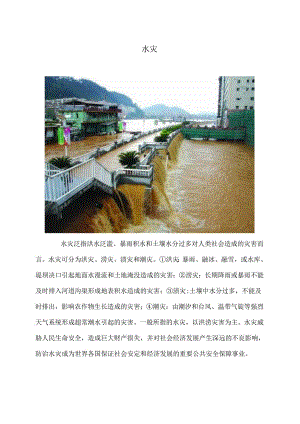 水灾（2024年）.docx