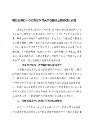 2024年镇党委书记中心组理论学习关于弘扬法治精神研讨发言.docx