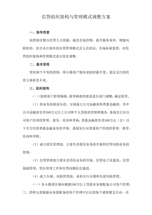 信贷组织架构与管理模式调整方案.docx