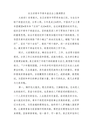 在五四青年节青年座谈会上强调要求.docx