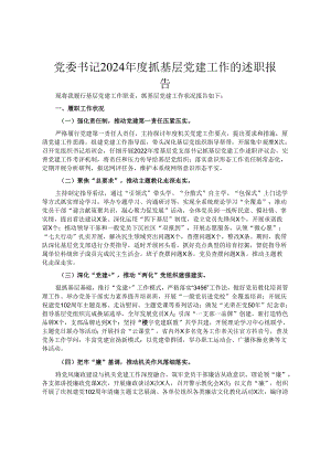 党委书记2024年度抓基层党建工作的述职报告.docx