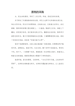 300字作文-美丽的洱海.docx