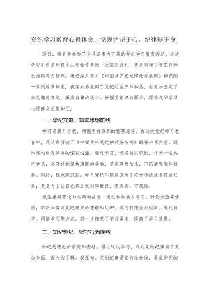 2024党纪学习教育心得体会研讨发言：党规铭记于心纪律挺于身.docx