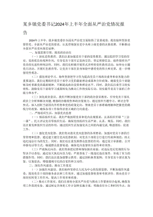 某乡镇党委书记2024年上半年全面从严治党情况报告.docx