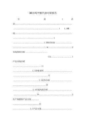30万吨甲醇汽油可研报告.docx