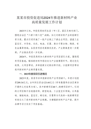 某某市投资促进局2024年推进新材料产业高质量发展工作计划.docx