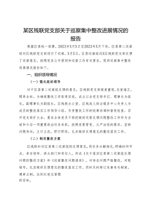 某区残联党支部关于巡察集中整改进展情况的报告.docx