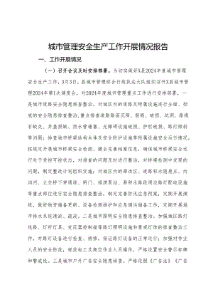城市管理安全生产工作开展情况报告.docx