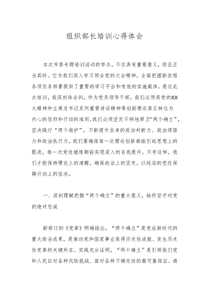 组织部长培训心得体会.docx