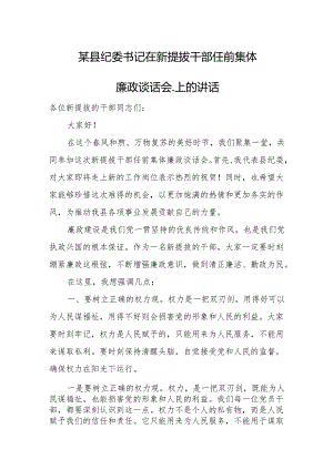 某县纪委书记在新提拔干部任前集体廉政谈话会.上的讲话.docx