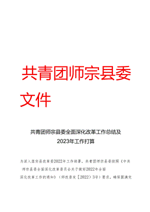 共青团师宗县委全面深化改革工作总结及2023年工作打算.docx