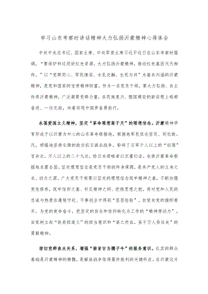 学习山东考察时讲话精神大力弘扬沂蒙精神心得体会.docx