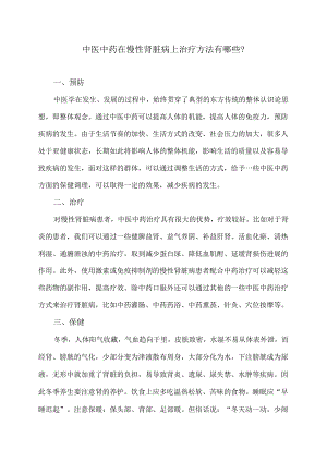 中医中药在慢性肾脏病上治疗方法有哪些？（2024年）.docx