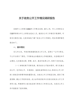 关于政务公开工作情况调研报告.docx
