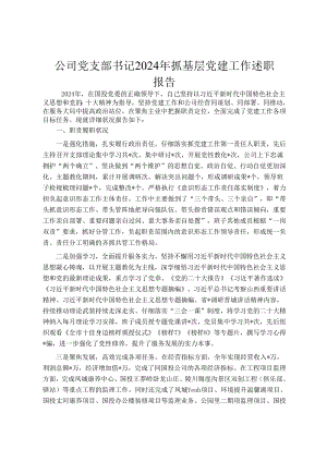 公司党支部书记2024年抓基层党建工作述职报告.docx