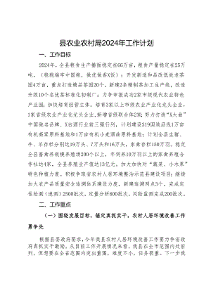 县农业农村局2024年工作计划.docx