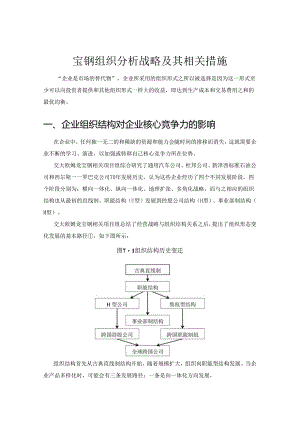 宝钢-组织分析战略报告.docx