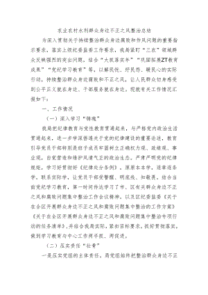 农业农村水利群众身边不正之风整治总结.docx