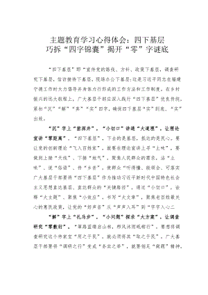 主题教育学习心得体会：四下基层巧拆“四字锦囊”揭开“零”字谜底.docx