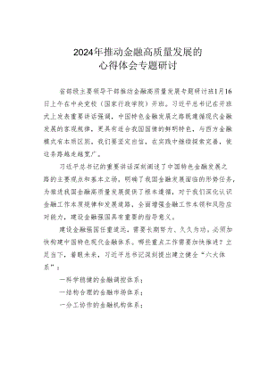 2024年推动金融高质量发展的心得体会专题研讨.docx