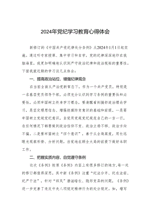 2024党纪学习教育活动学习心得体会十七篇.docx
