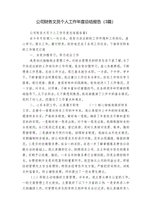 公司财务文员个人工作年度总结报告（3篇）.docx