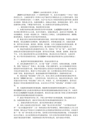 2024年上海市教育督导工作要点.docx