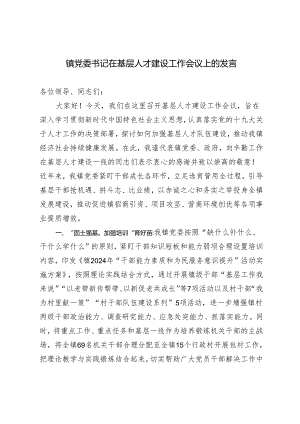2024年镇党委书记在基层人才建设工作会议上的发言.docx