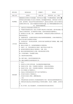 财务部总监-岗位说明书.docx