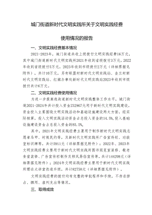 城门街道新时代文明实践所关于文明实践经费使用情况的报告.docx