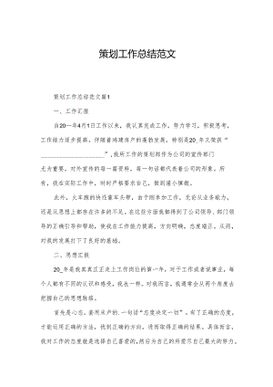 策划工作总结范文.docx